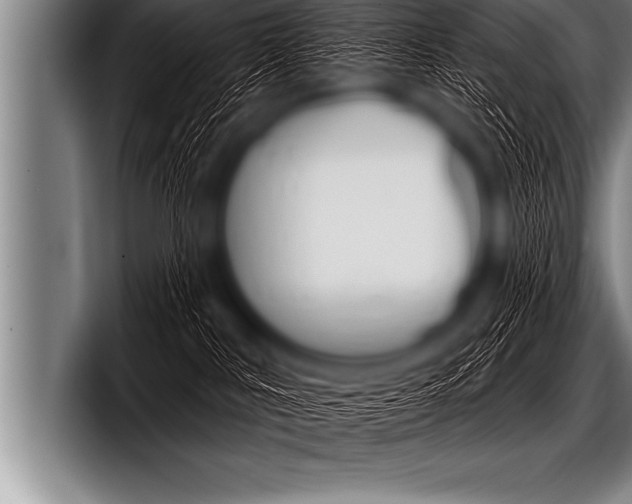 X0000098130043200804171108