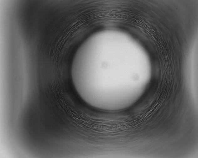 X0000098130044200804171108