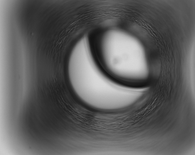 X0000098130045200804171108