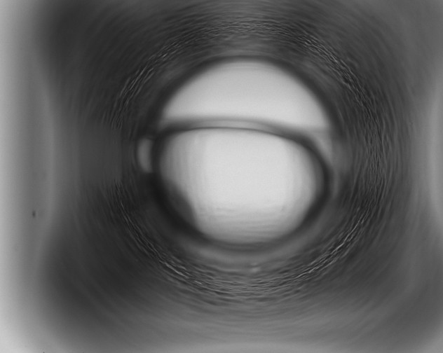 X0000098130047200804171108