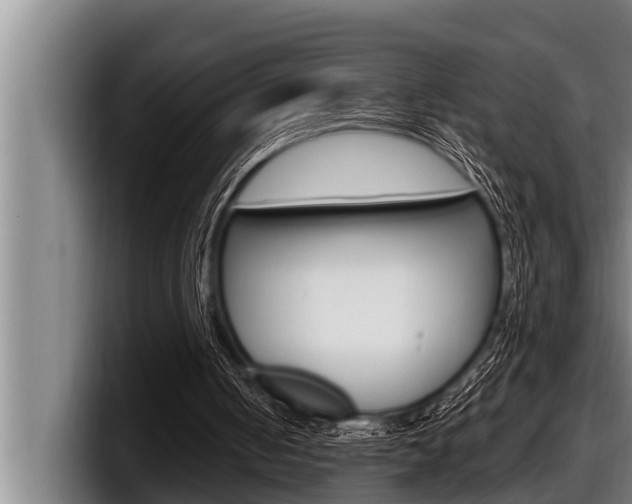X0000098130050200804171107