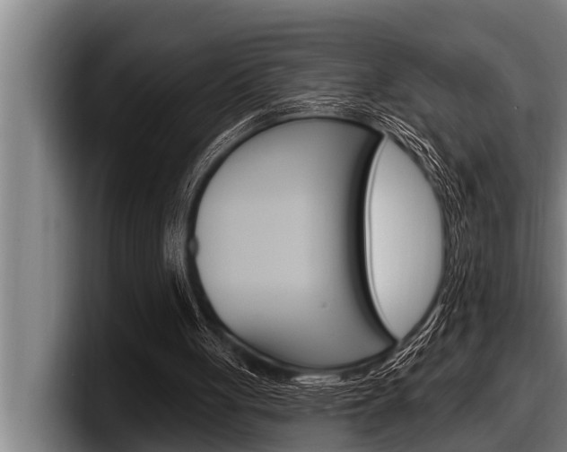 X0000098130051200804171107