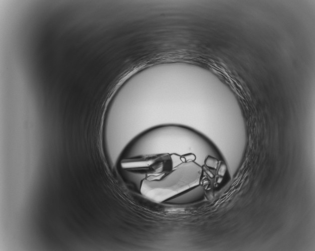 X0000098130052200804171107