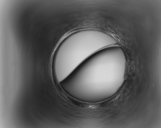 X0000098130056200804171107
