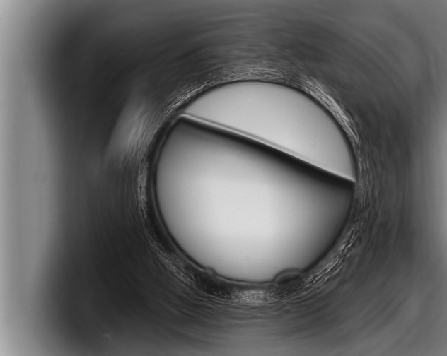 X0000098130058200804171107