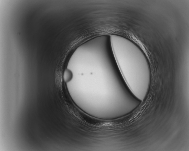 X0000098130059200804171107