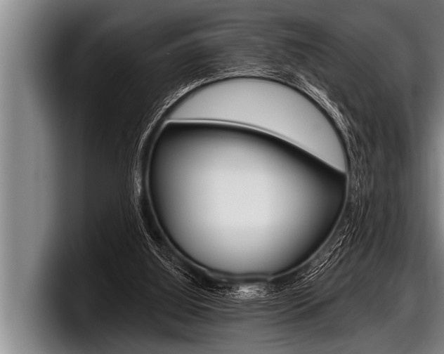 X0000098130060200804171107