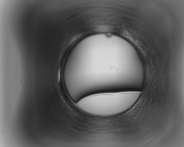 X0000098130062200804171107