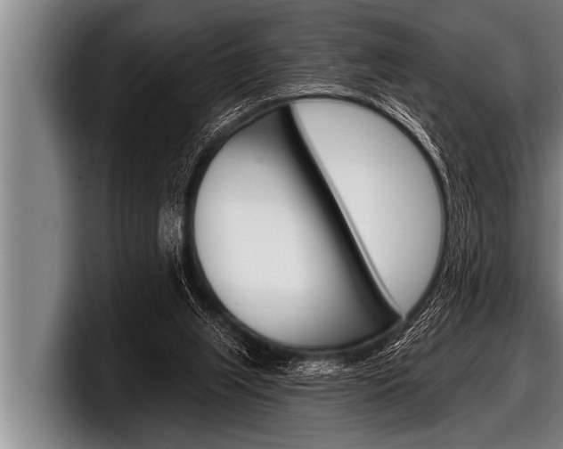 X0000098130063200804171107