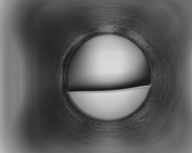 X0000098130064200804171107