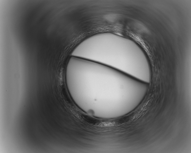 X0000098130065200804171107