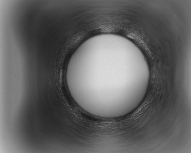 X0000098130066200804171108
