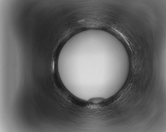 X0000098130067200804171108
