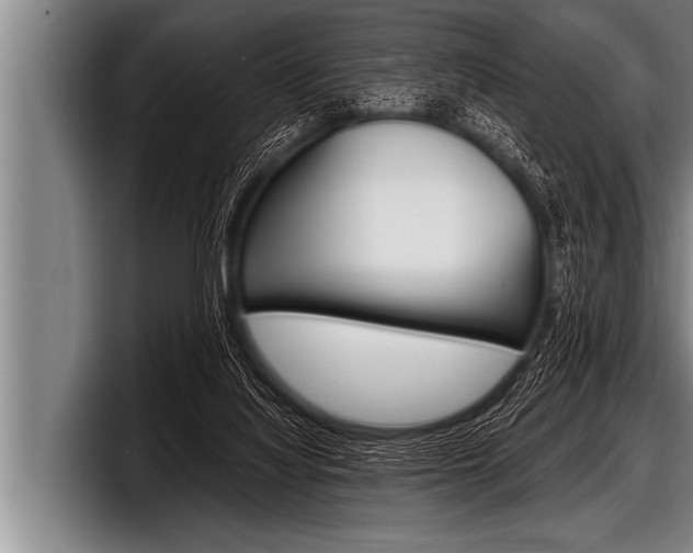 X0000098130068200804171108