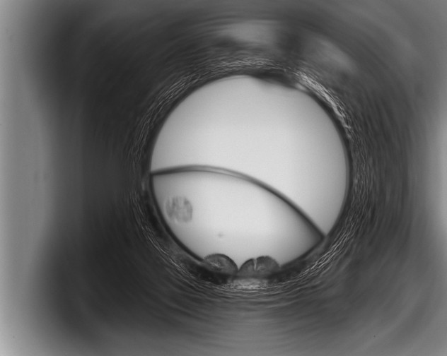 X0000098130069200804171108