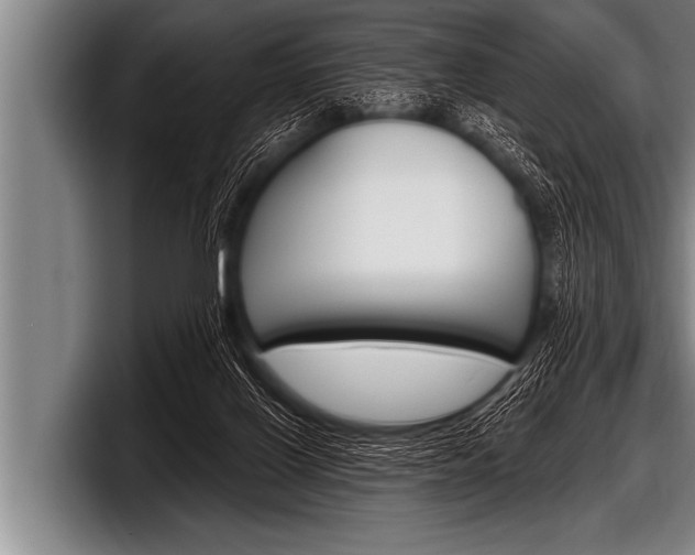 X0000098130070200804171108