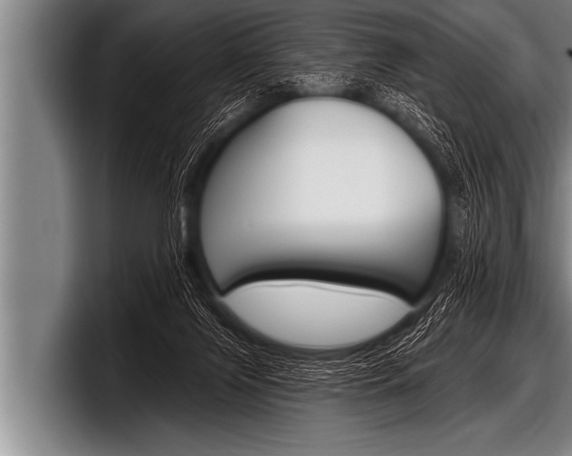 X0000098130071200804171108