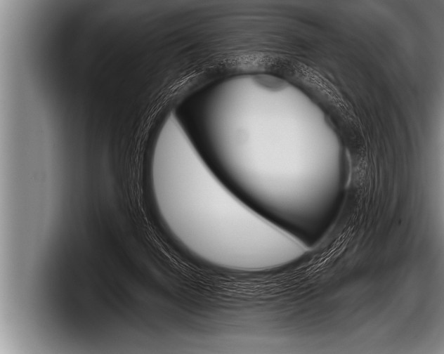 X0000098130072200804171108