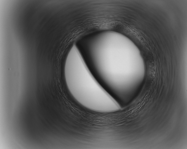 X0000098130076200804171108