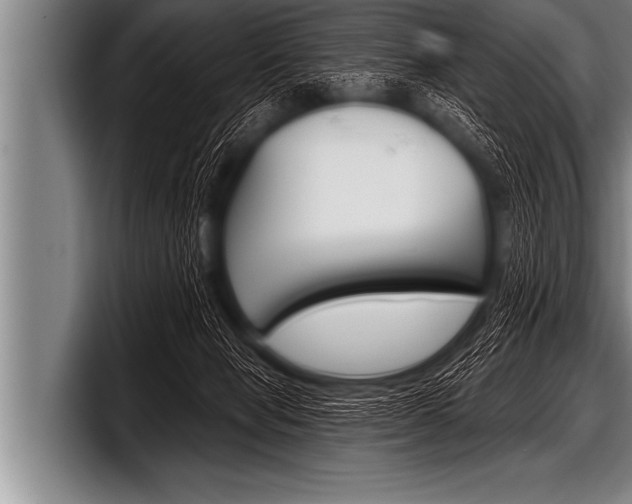 X0000098130077200804171108