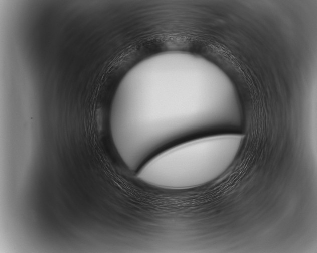 X0000098130078200804171108