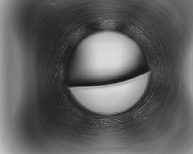 X0000098130080200804171108