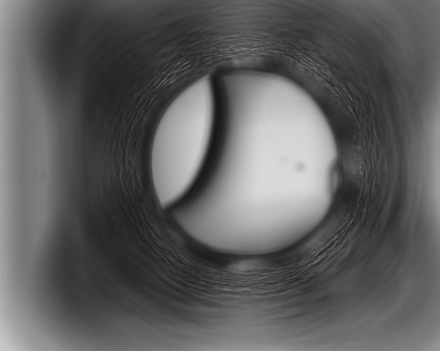 X0000098130082200804171108