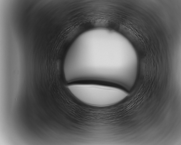 X0000098130083200804171108