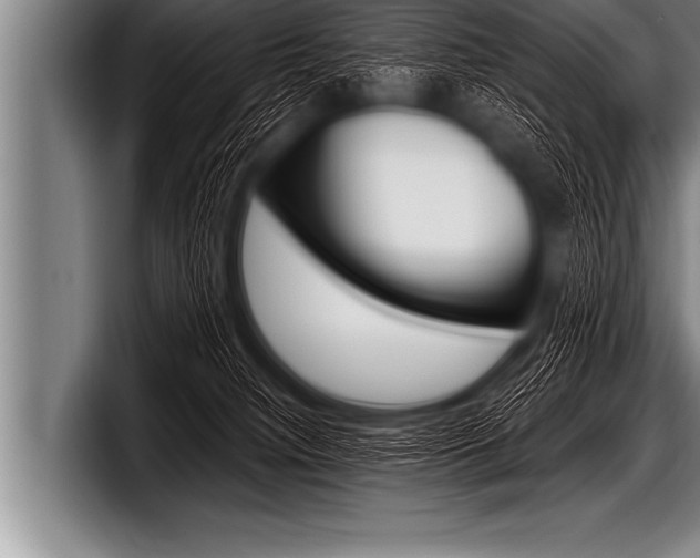 X0000098130084200804171108