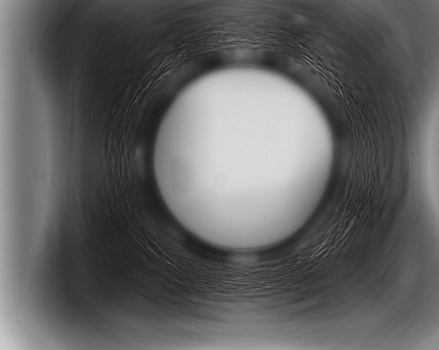 X0000098130087200804171108