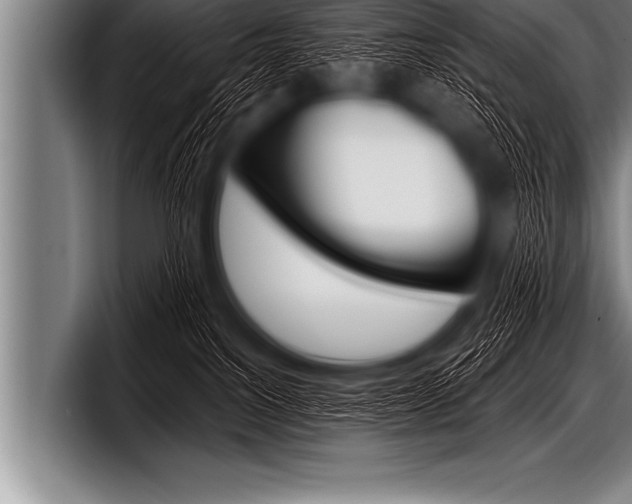X0000098130088200804171108