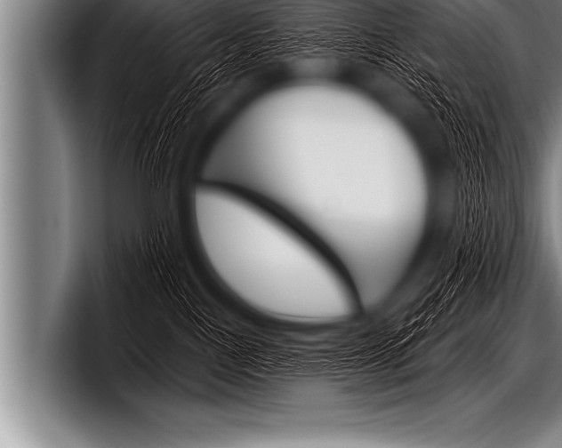 X0000098130090200804171108