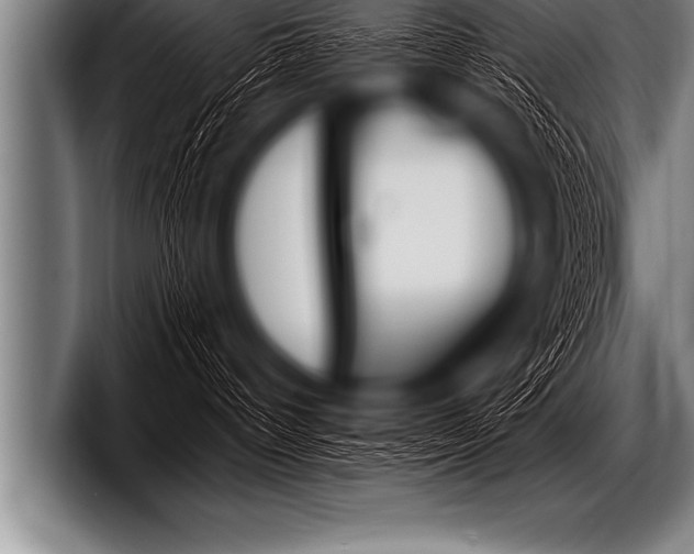 X0000098130096200804171108