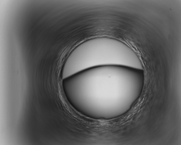 X0000098130097200804171107