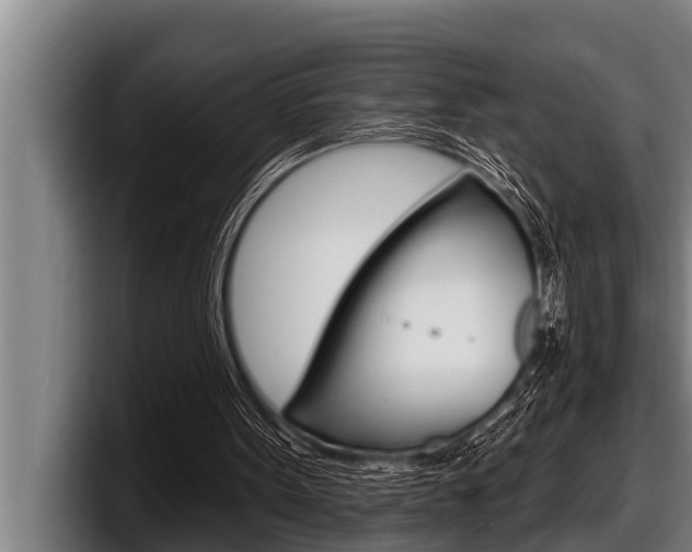 X0000098130099200804171107