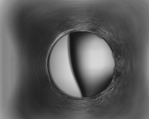 X0000098130100200804171107