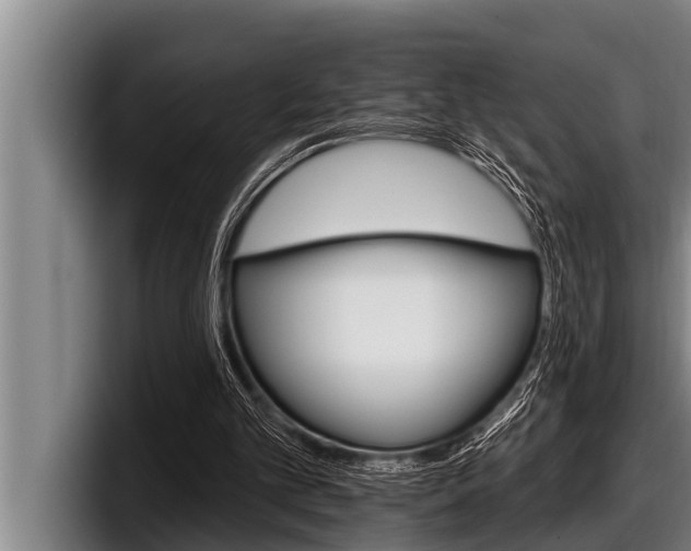 X0000098130101200804171107