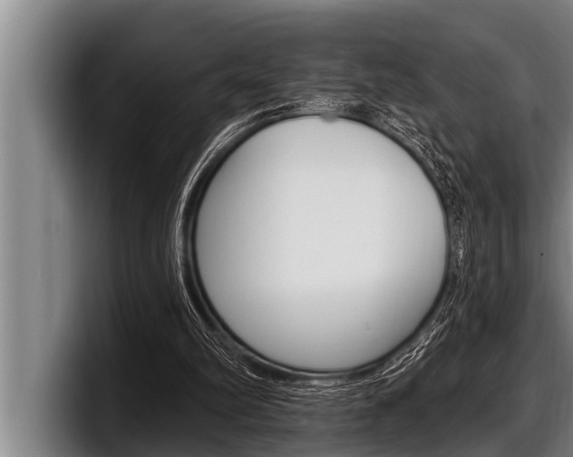 X0000098130102200804171107