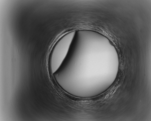 X0000098130103200804171107