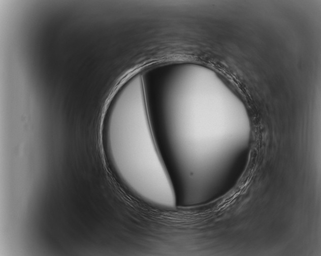 X0000098130104200804171107