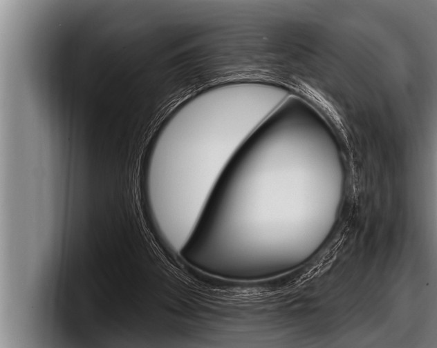 X0000098130105200804171107