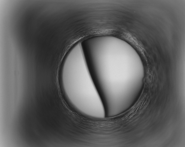X0000098130107200804171107