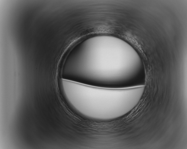 X0000098130108200804171107