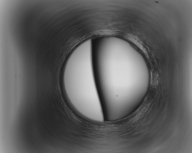 X0000098130109200804171107