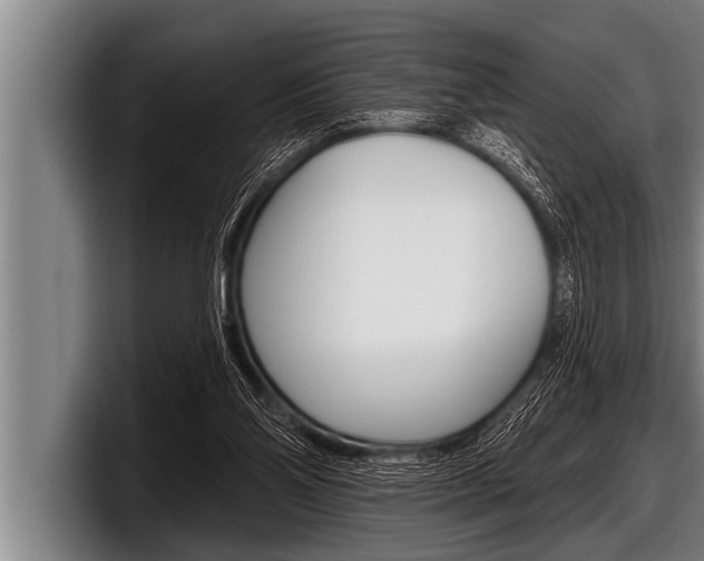 X0000098130110200804171107
