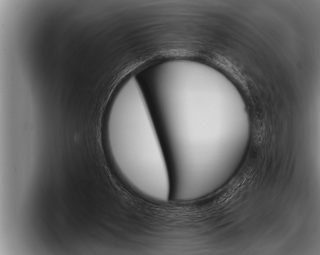 X0000098130111200804171107