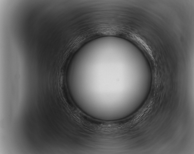 X0000098130113200804171107