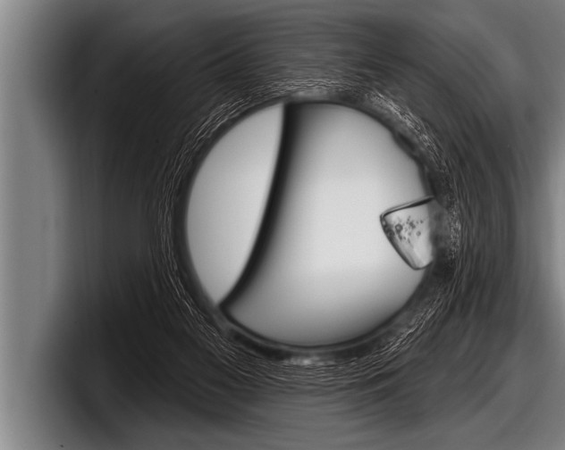 X0000098130117200804171107