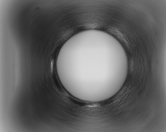 X0000098130118200804171107