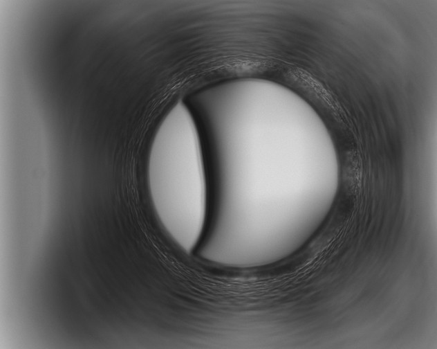 X0000098130119200804171107